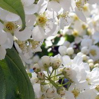 hghg - Интернет-магазин